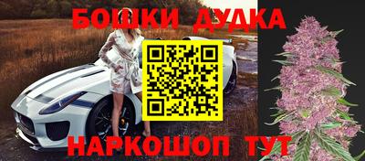 МДПВ Кандалакша
