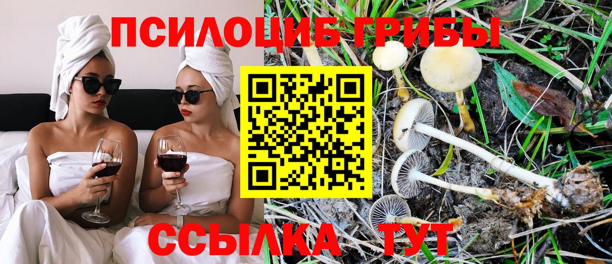 Лесозаводск  Псилоцибиновые грибы ЛСД  Псилоцибиновые грибы ЛСД  Вход с VPN 